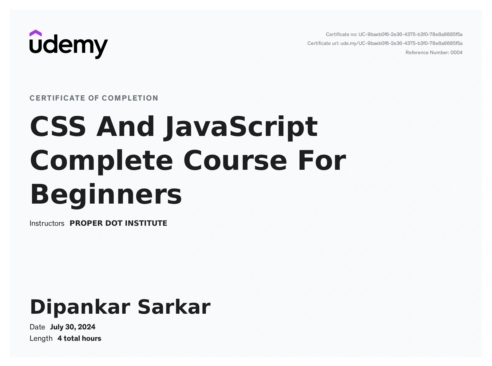 CSS JS